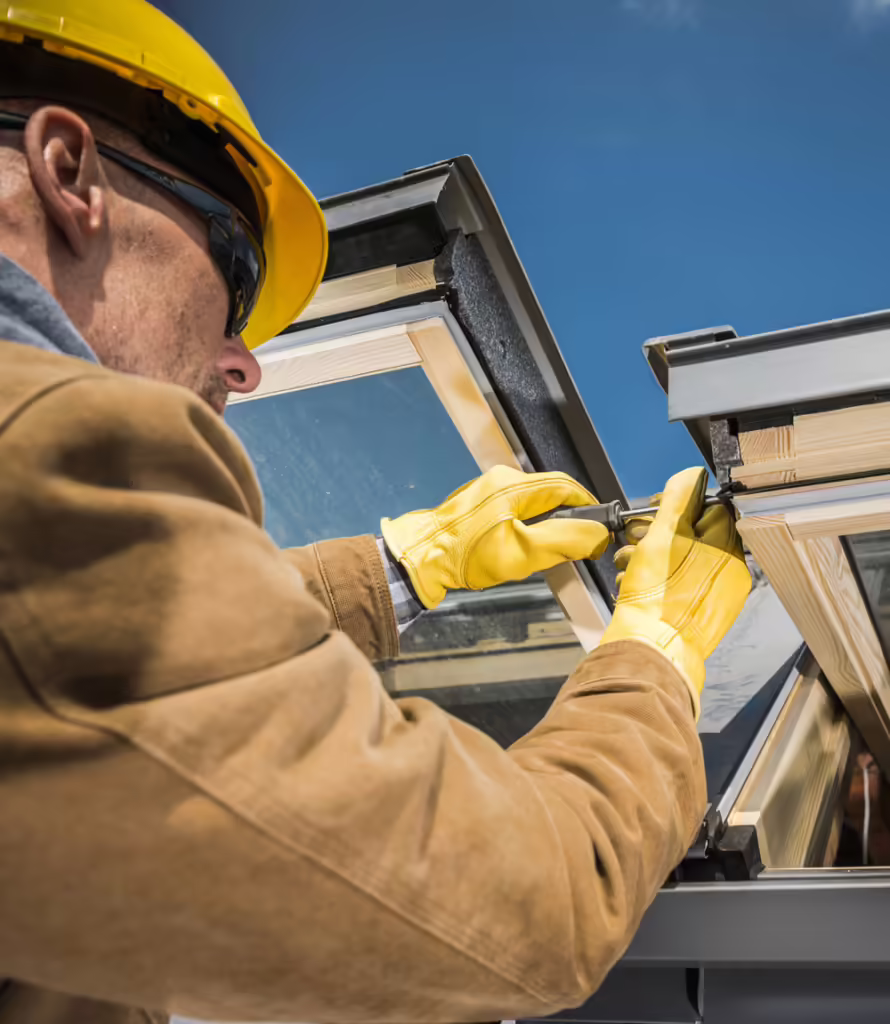 Кампания "Альбатрос"