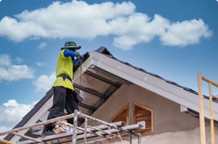 Кампания "Альбатрос"